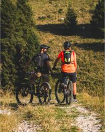 Mountain bike