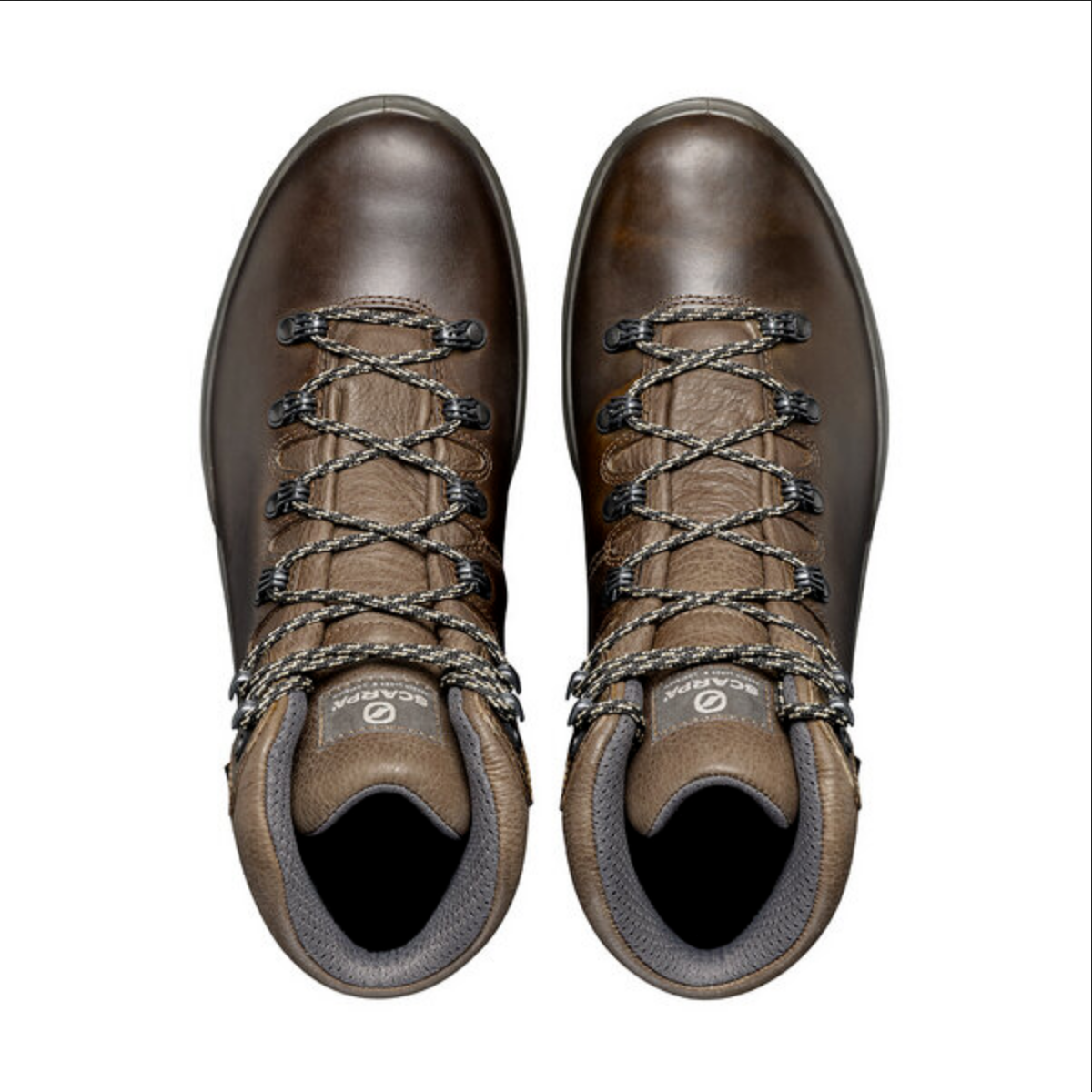 TERRA GTX - SCARPA